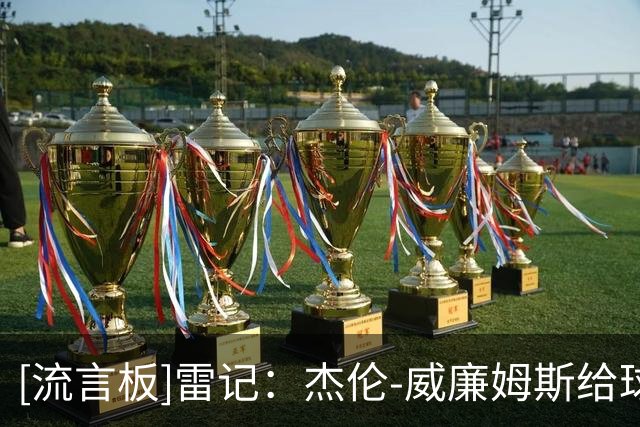 [流言板]雷记：杰伦-威廉姆斯给球队带来的活力足以改变比赛走向